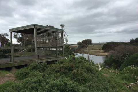 Phillip Island Walking & Bird Watching Tour - Goulburn Accommodation 2