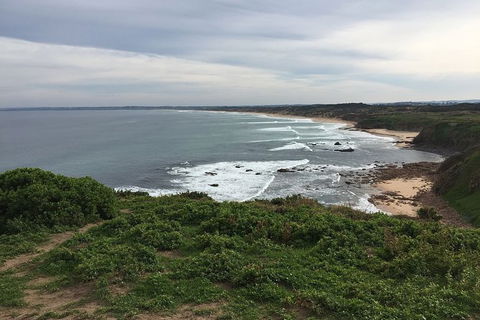 Phillip Island Walking & Bird Watching Tour - Goulburn Accommodation 1