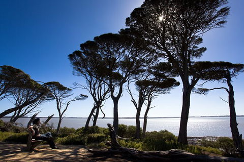 2 Day Exclusively Private Tour Of Phillip Island & The Penguin Parade - Goulburn Accommodation 9