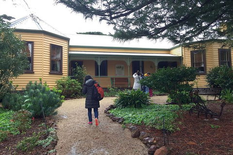 Day Tour Of Phillip Island Nature Parks & Penguins - Goulburn Accommodation 7