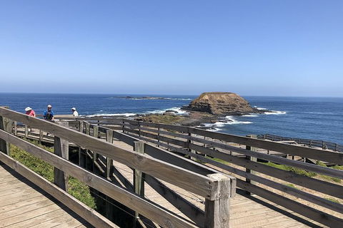 Day Tour Of Phillip Island Nature Parks & Penguins - Goulburn Accommodation 9