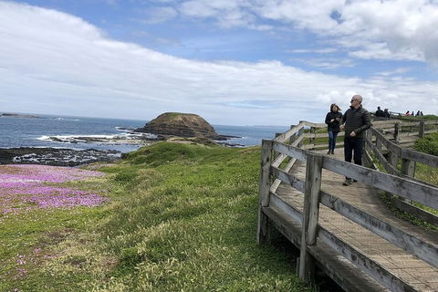 Day Tour Of Phillip Island Nature Parks & Penguins - Goulburn Accommodation 10