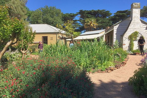 Phillip Island Tour Including Phillip Island Penguin Parade - Goulburn Accommodation 9