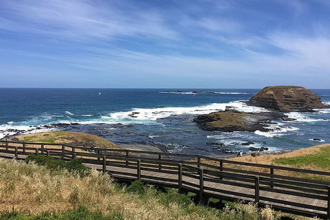 Phillip Island Tour Including Phillip Island Penguin Parade - Goulburn Accommodation 6