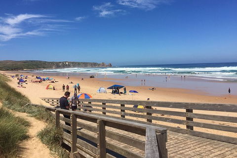 Phillip Island Tour Including Phillip Island Penguin Parade - Goulburn Accommodation 2