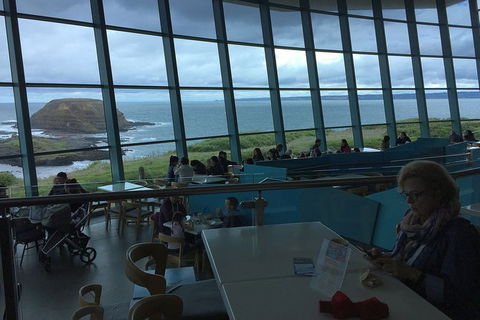 Phillip Island Tour Including Phillip Island Penguin Parade - Goulburn Accommodation 4