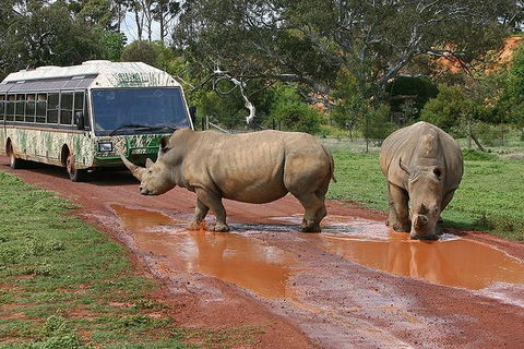 Melbourne Attractions Pass Including Melbourne Zoo, Hop-on Hop-off Bus And SEA LIFE Aquarium - Goulburn Accommodation 13
