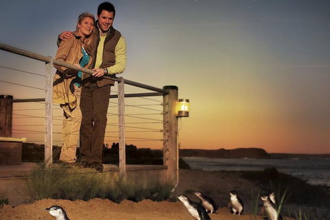 Melbourne Attractions Pass Including Melbourne Zoo, Hop-on Hop-off Bus And SEA LIFE Aquarium - Goulburn Accommodation 10