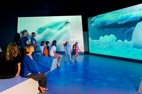 Phillip Island Antarctic Journey: Entry Ticket - Goulburn Accommodation 0