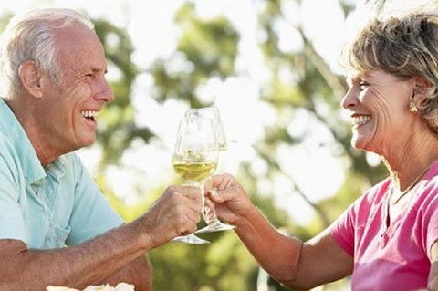Phillip Island Wine Experience Tour - Goulburn Accommodation 1