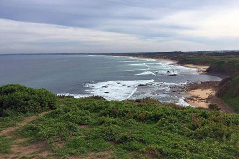 Half Day Phillip Island Woolamai Walking Tour - Goulburn Accommodation 0