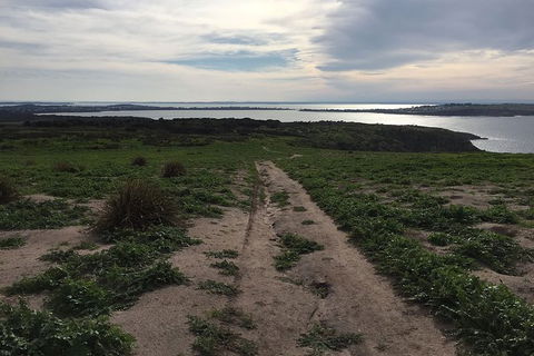 Half Day Phillip Island Woolamai Walking Tour - Goulburn Accommodation 8