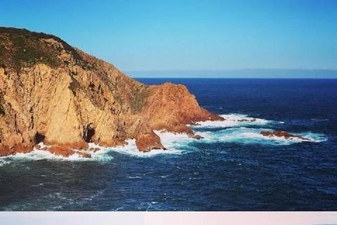 Half Day Phillip Island Woolamai Walking Tour - Goulburn Accommodation 6