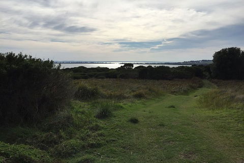 Half Day Phillip Island Woolamai Walking Tour - Goulburn Accommodation 4