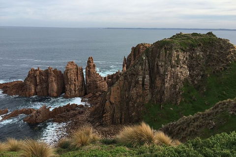 Half Day Phillip Island Woolamai Walking Tour - Goulburn Accommodation 16
