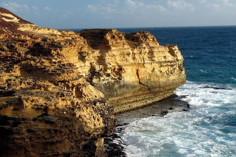 Half Day Phillip Island Woolamai Walking Tour - Goulburn Accommodation 12