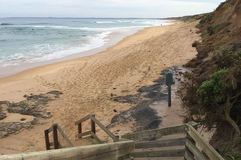 Half Day Phillip Island Woolamai Walking Tour - Goulburn Accommodation 11