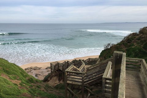 Half Day Phillip Island Woolamai Walking Tour - Goulburn Accommodation 5
