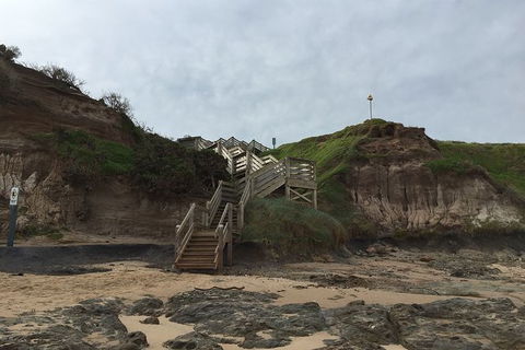 Half Day Phillip Island Woolamai Walking Tour - Goulburn Accommodation 14