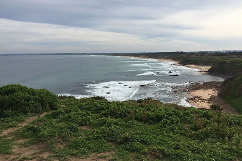 Half Day Phillip Island Woolamai Walking Tour - Goulburn Accommodation 10