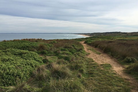 Half Day Phillip Island Woolamai Walking Tour - Goulburn Accommodation 3