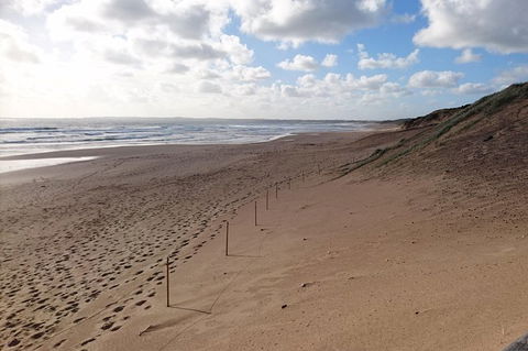 Half Day Phillip Island Woolamai Walking Tour - Goulburn Accommodation 7
