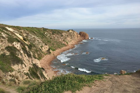 Half Day Phillip Island Woolamai Walking Tour - Goulburn Accommodation 2