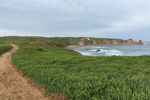Half Day Phillip Island Woolamai Walking Tour - Goulburn Accommodation 9