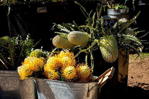 Mornington Peninsula Markets Shuttle By Boat From Phillip Island - Goulburn Accommodation 7
