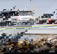 Phillip Island Seal-Watching Cruise - Goulburn Accommodation