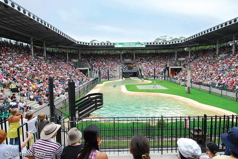 Croc Express To Australia Zoo From Brisbane - Goulburn Accommodation 12