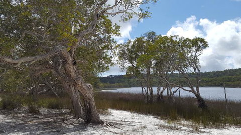North Stradbroke Island Day Trip From Brisbane - Goulburn Accommodation 14