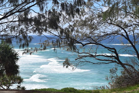 North Stradbroke Island Day Trip From Brisbane - Goulburn Accommodation 12