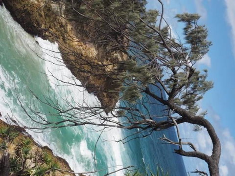 North Stradbroke Island Day Trip From Brisbane - Goulburn Accommodation 16