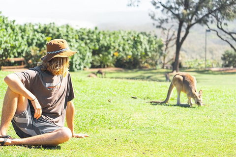 North Stradbroke Island Day Trip From Brisbane - Goulburn Accommodation 35