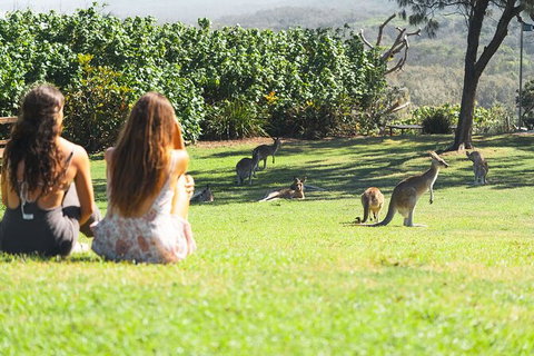 North Stradbroke Island Day Trip From Brisbane - Goulburn Accommodation 28