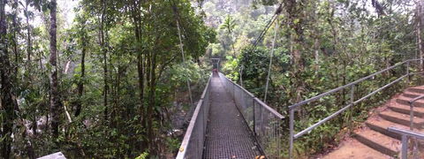 Cape Tribulation, Mossman Gorge, And Daintree Rainforest Day Trip From Cairns Or Port Douglas - Goulburn Accommodation 4