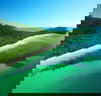 Cape Tribulation Mossman Gorge and Daintree Rainforest Day Trip from Cairns or Port Douglas - Goulburn Accommodation