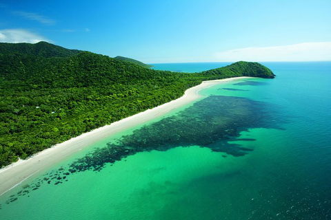 Cape Tribulation, Mossman Gorge, And Daintree Rainforest Day Trip From Cairns Or Port Douglas - Goulburn Accommodation 0