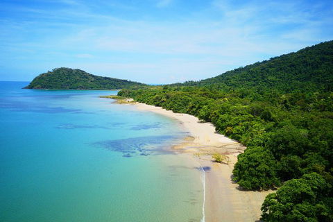 Cape Tribulation, Mossman Gorge, And Daintree Rainforest Day Trip From Cairns Or Port Douglas - Goulburn Accommodation 10