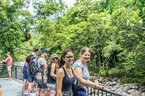 Cape Tribulation, Mossman Gorge, And Daintree Rainforest Day Trip From Cairns Or Port Douglas - Goulburn Accommodation 15