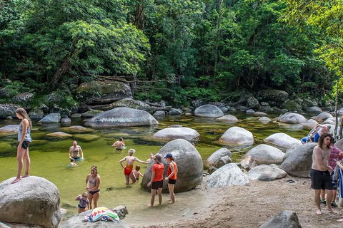 Cape Tribulation, Mossman Gorge, And Daintree Rainforest Day Trip From Cairns Or Port Douglas - Goulburn Accommodation 14