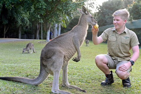 Small-Group Australia Zoo Day Trip From Brisbane - Goulburn Accommodation 6