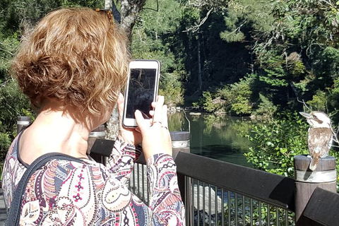 Personalised Private Platypus Land Tour - Goulburn Accommodation 1