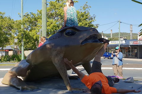 Personalised Private Platypus Land Tour - Goulburn Accommodation 5