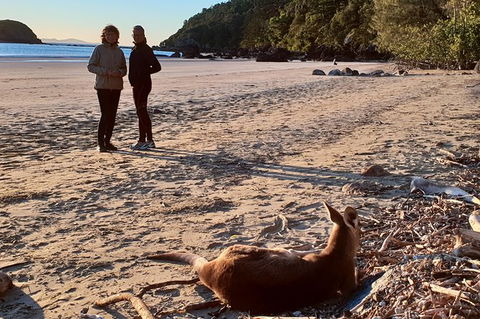 Personalised Private Platypus Land Tour - Goulburn Accommodation 10