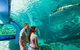 Reef HQ Great Barrier Reef Aquarium General Entry Ticket - thumb 1