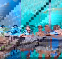 Reef HQ Great Barrier Reef Aquarium General Entry Ticket - Goulburn Accommodation