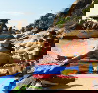 Orpheus Island Day Trip by Helicopter from Townsville - Goulburn Accommodation