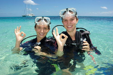 Ocean Spirit Michaelmas Cay Dive And Snorkel Cruise From Palm Cove - Goulburn Accommodation 0